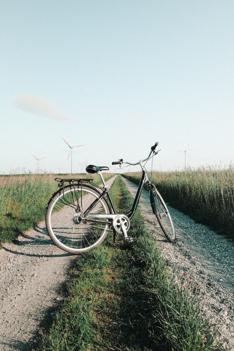 Photo Of Bicycle On The Middle Of Dirt Road